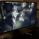 Image for article titled Nvidia Shield Tablet Review: A Gaming Beast, But So Much More